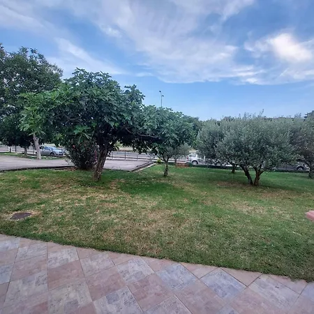 Apartman Forest Queen *