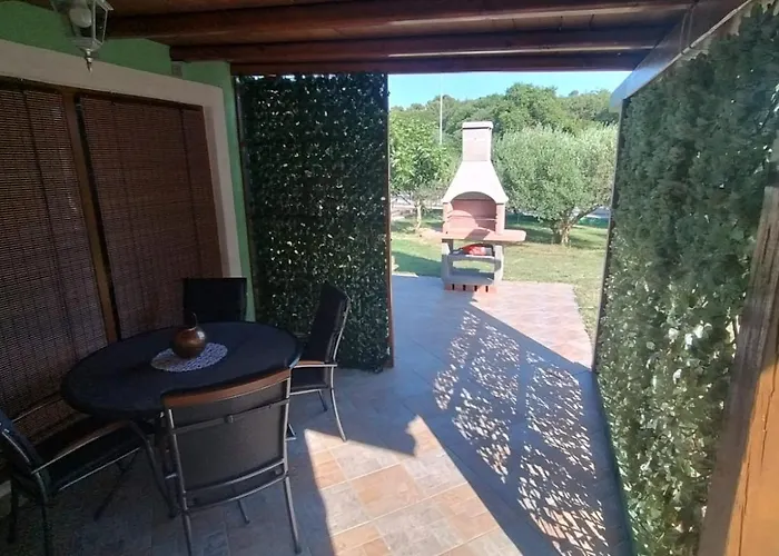 Forest Queen Apartament *