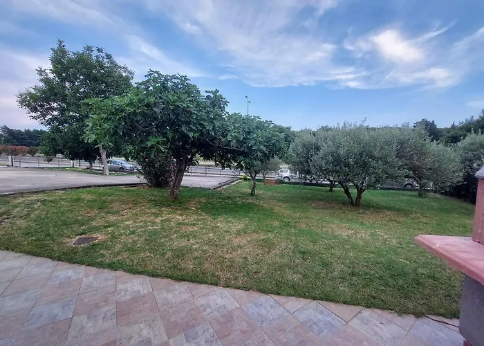 Apartament Forest Queen *